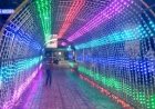 3D LED Light Remo Arch Tunnel Entry Wedding Reception Decoration +91 81225 40589 New Concept India