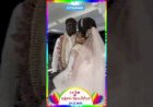 360 photo booth Wedding Birthday Corporate Event Rent 8122540589 Chennai Pondicherry vellore Trichy