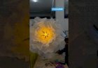 kinetic Flower open close Flower Decoration new concept Design 8122540589 India