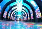 LED Interactive Floor LED Tunnel Entry Corporate Event Rent 8122540589 India