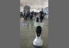 Robo in Airport shopping Mall Hotel Event expo 8122540589 Ai Interactive Touch Robot India  #robot