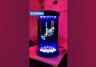 Hologram HoloTube New product Launch Product Display 8122540589 Bangalore Mumbai Hyderabad India