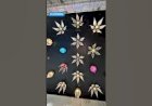 Kinetic Flower ceiling wall Decor New concept Design 8122540589 India Mechanism Flower open close