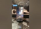 Hologram Tube New corporate Ai Event 8122540589 Mumbai Bangalore Hyderabad Gujarat Rajasthan India