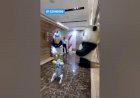 Dog Robot Corporate Event 8122540589 Mumbai Pune Hyderabad Bangalore Noida Gujarat Kolkata Goa India