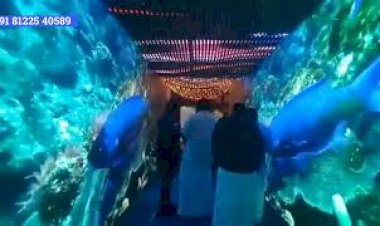 LED Wall Tunnel Arch Entry Wedding Decoration +91 81225 40589 Chennai | Coimbatore | Andhra | Goa