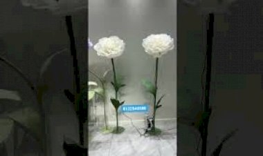 kinetic Flower Event Rent Decoration 8122540589 India