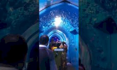 Underwater Tunnel Fish Aquarium Event Rent 8122540589 LED Tunnel Event Rent New concept India