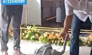 #Dog Robot Event Rent New Concept Activities 8122540589 Bangalore Hyderabad Andhra Chennai Goa India