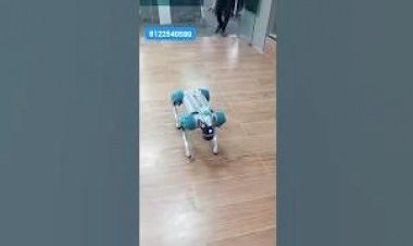 Dog Robot Event Rent 8122540589 Hyderabad Bangalore Mumbai Pune Goa Chennai Delhi Jaipur India