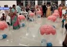 #Bride Groom Entry Concept +91 81225 40589 #Wedding #Chennai | Andhra | Bangalore | Pondicherry