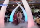 #Pot Fog | Elephant Magical Pillar Bride Groom Entry +91 81225 40589 Wedding Chennai Decoration