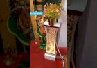 Water Bubble Flower stand Decor 91 81225 40589 | New Concept