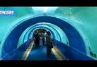 Fish Aquarium Tunnel Rent 8122540589 India Hyderabad Bangalore Chennai Vijayawada Goa Coimbatore