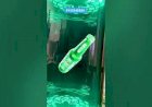 Hologram tube Advertising product Display 8122540589 India