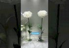 kinetic Flower Event Rent Decoration 8122540589 India