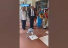#Dog Robo Welcome Guest New Concept Event 8122540589 Bangalore Mumbai Hyderabad Goa Chennai Andhra