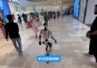 #Ai Humanoid Robot New Concept Event 8122540589 India Indore Delhi Mumbai Hyderabad Bangalore