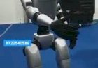 #Humanoid Robot Event Rent 8122540589 Bangalore Hyderabad Mumbai Goa Kerala Chennai Coimbatore India