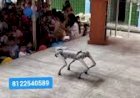 Dog Robot school Event Activities 8122540589 Bangalore Chennai Andhra Mumbai Hyderabad Delhi India