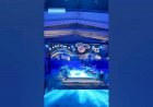 LED Light Curtain Stage Backdrop Decoration New Design 8122540589 Bangalore Hyderabad Chennai Mumbai
