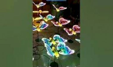 Butterfly Event Decoration 8122540589 Chennai Bangalore Hyderabad Mumbai Andhra Delhi jaipur India