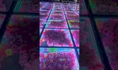 Led Flower floor stage Decoration or Pathway platform Wedding Reception Event Rent 8122540589 Chennai