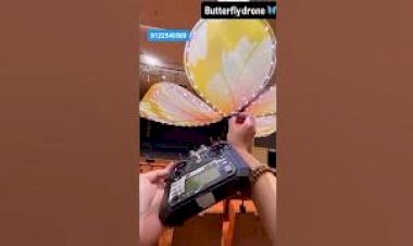 Flying Butterfly Event Rent New concept 8122540589 Mumbai Hyderabad Bangalore Delhi Gujarat India