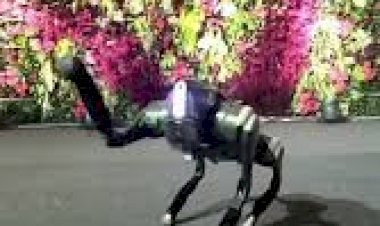 Dog Robot Event Rent 8122540589 Kanpur Uttar Pradesh noida Delhi Gujarat Jaipur Hyderabad Goa India
