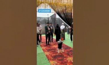 Dog Robot Event Rent 81225 40589 Bangalore Bengaluru vellore Andhra Pradesh Delhi Tirupati Goa India