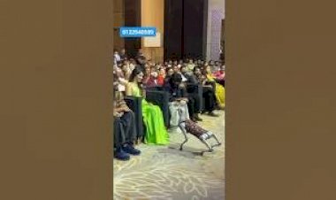 Dog Robot Event Rent 8122540589 Hyderabad Telugana Andhra Pradesh Vijayawada Nellore Noida Goa India