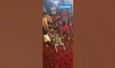 Dog Robot Kids Entertainment Activities 8122540589 Bangalore Mangalore Mysore Hosur karnataka India